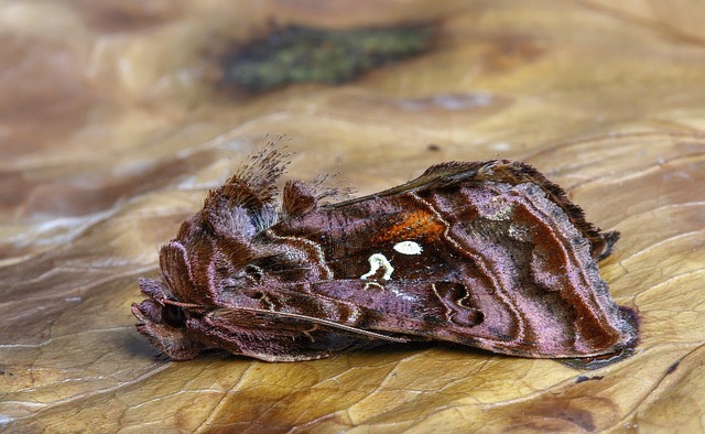 ilustración de seguridad y privacidad con candado y datos protegidos