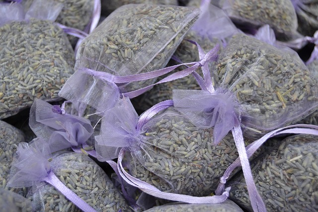 persona en Santiago revisando progreso en laptop con gráficos simples