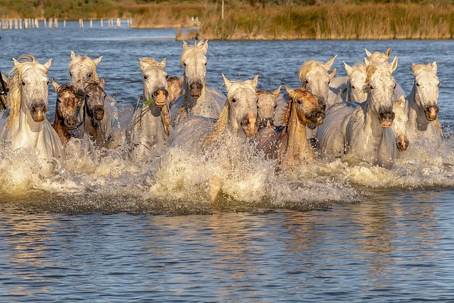 mapa ilustrativo de Las Condes cerca de Av. Apoquindo