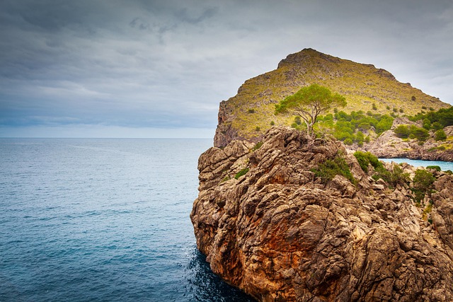 guía impresa de revisión mensual con indicadores simples